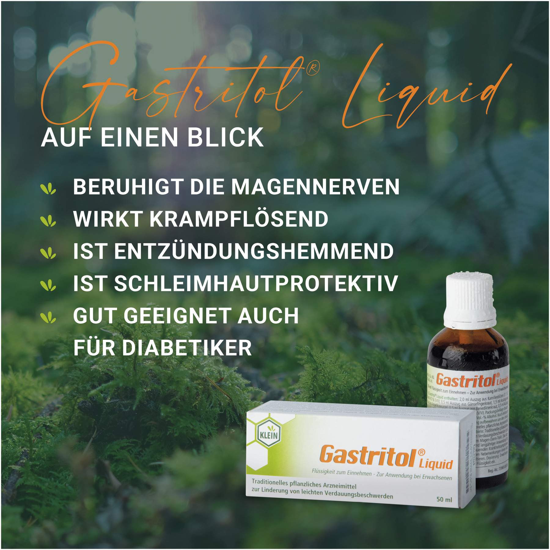 Gastritol Liquid Flüssigkeit zum Einnehmen 20 ml