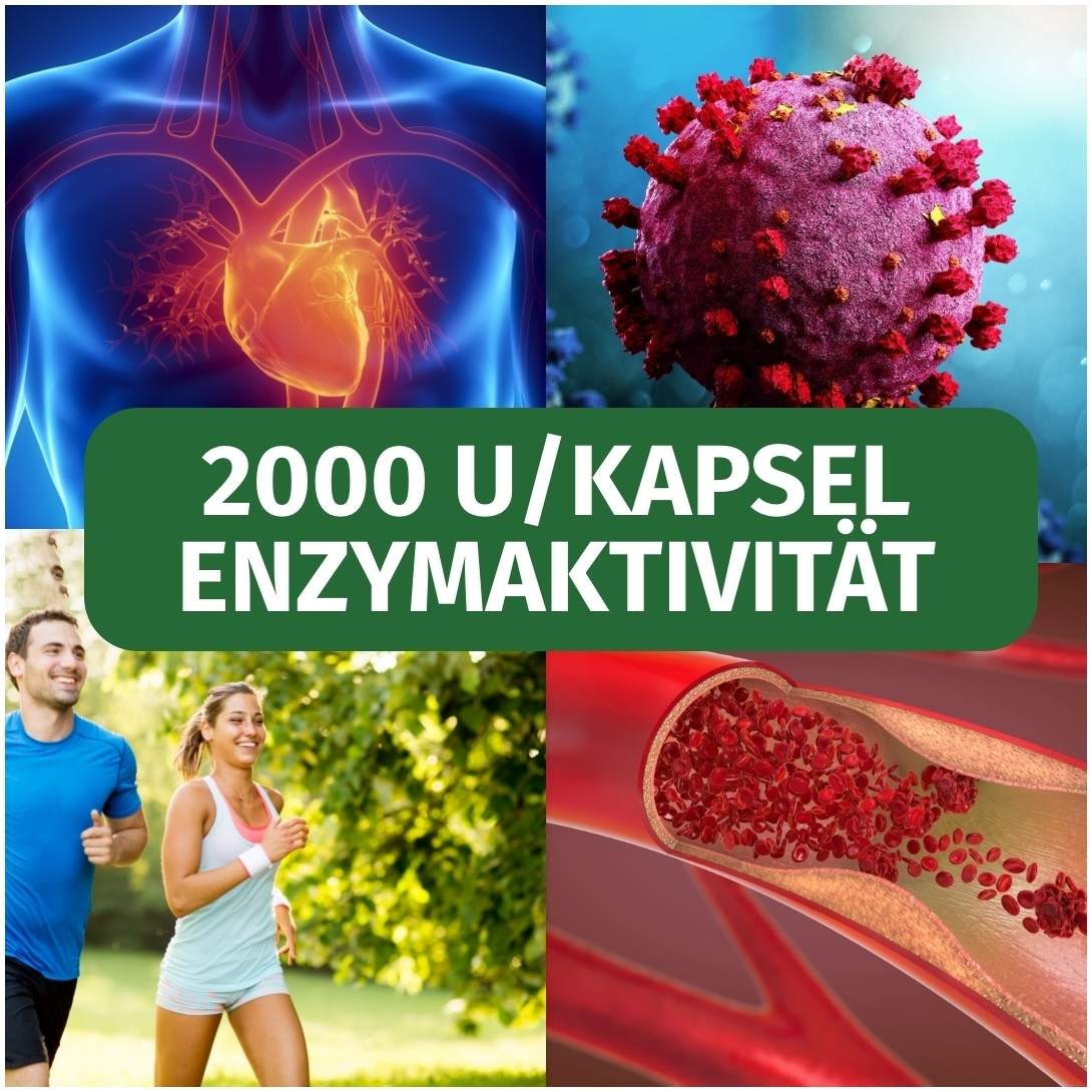 Green Naturals Nattokinase 100 mg Vegan 365 Kapseln
