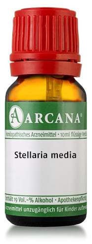 Stellaria Media Lm 04 Dilution