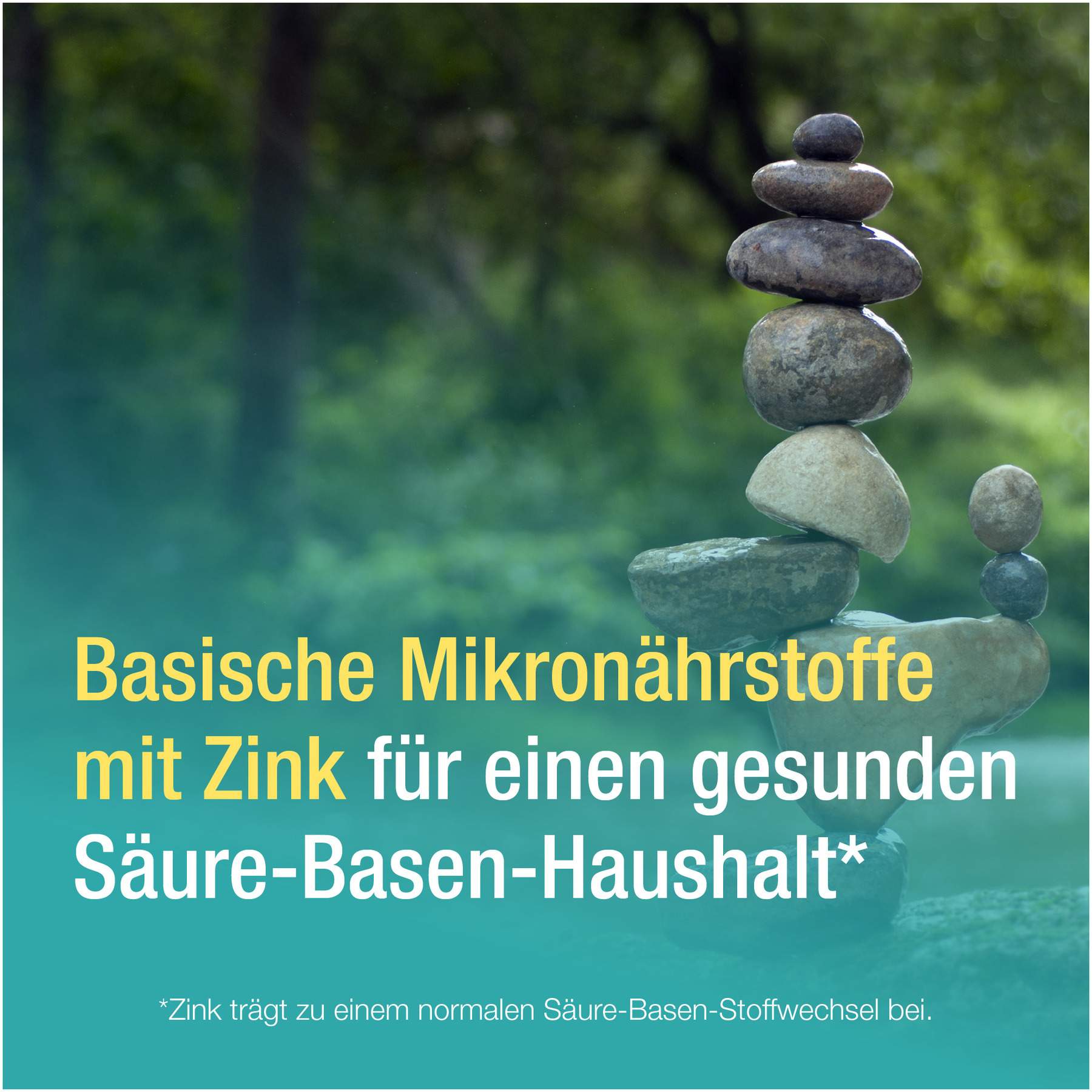 Basenpulver Verla  purKaps 60 Kapseln