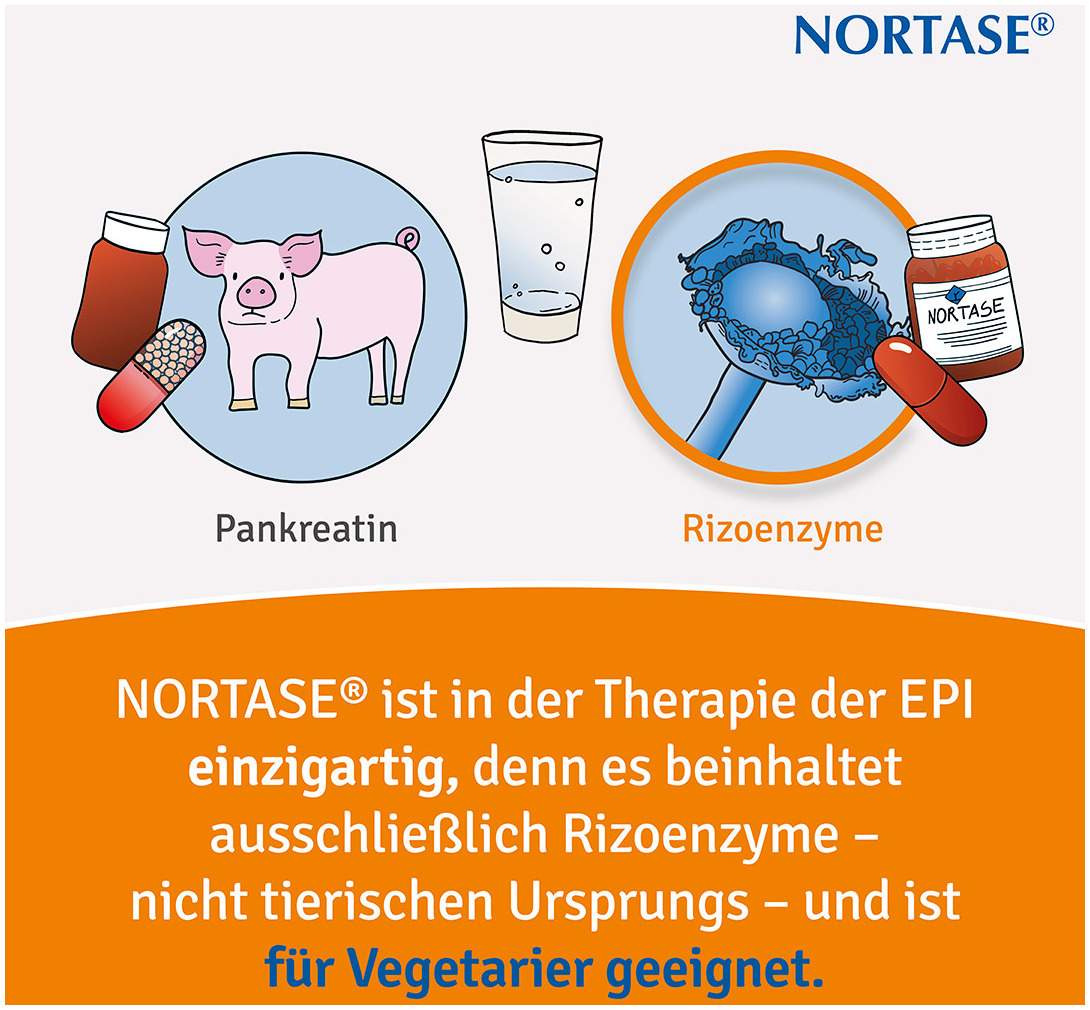 Nortase 50 Kapseln