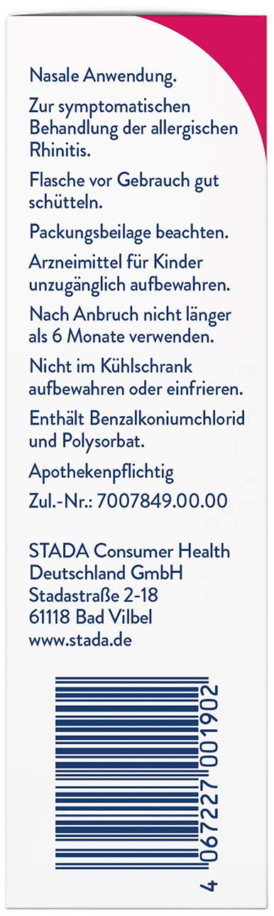 Snup Allerg Nasenspray mit Azelastin und Fluticason 23 g