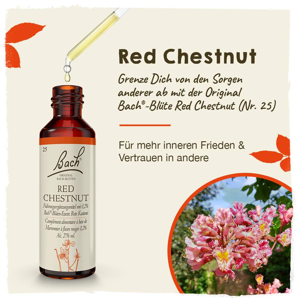 Bachblüten Red Chestnut 20 ml Tropfen