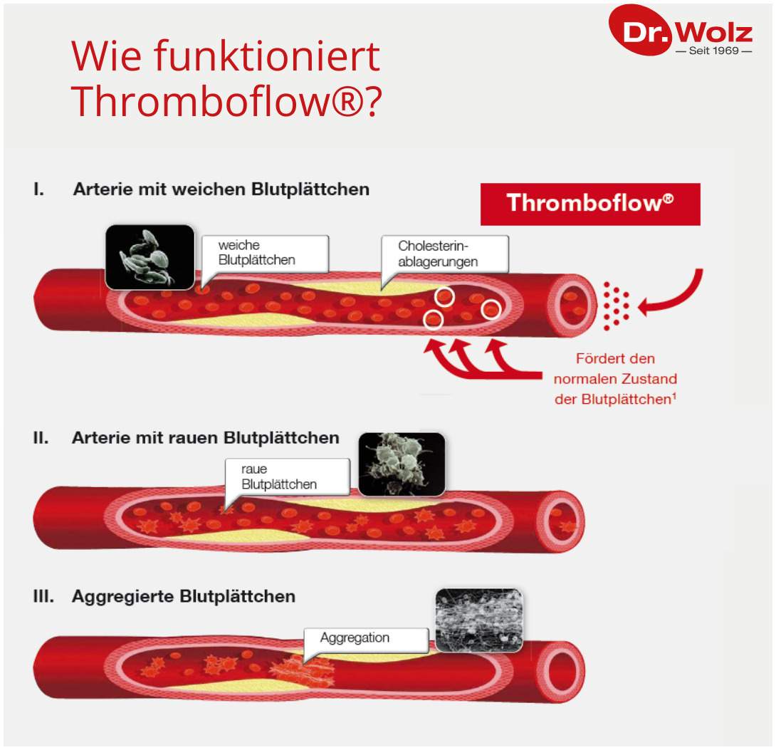 Thromboflow Dr.Wolz 20 Kapseln