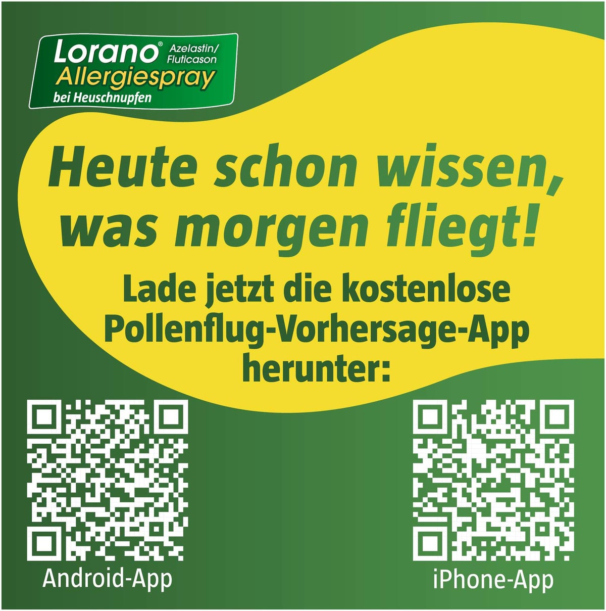 Lorano Azelastin-Fluticason Allergiespray bei Heuschnupfen 23 g