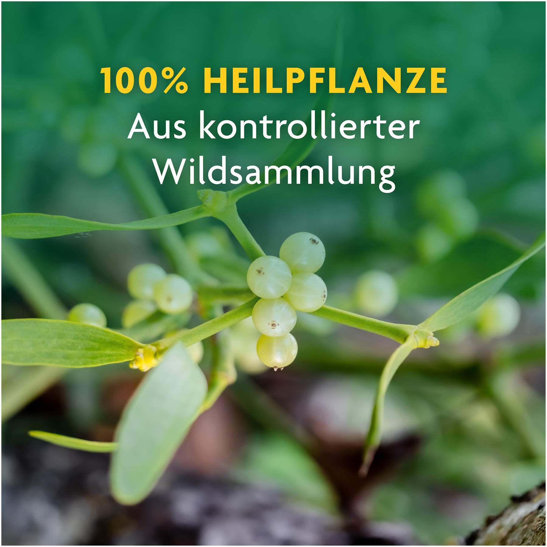 Mistel Schoenenberger Heilpflanzensäfte 3 X 200 ml Saft