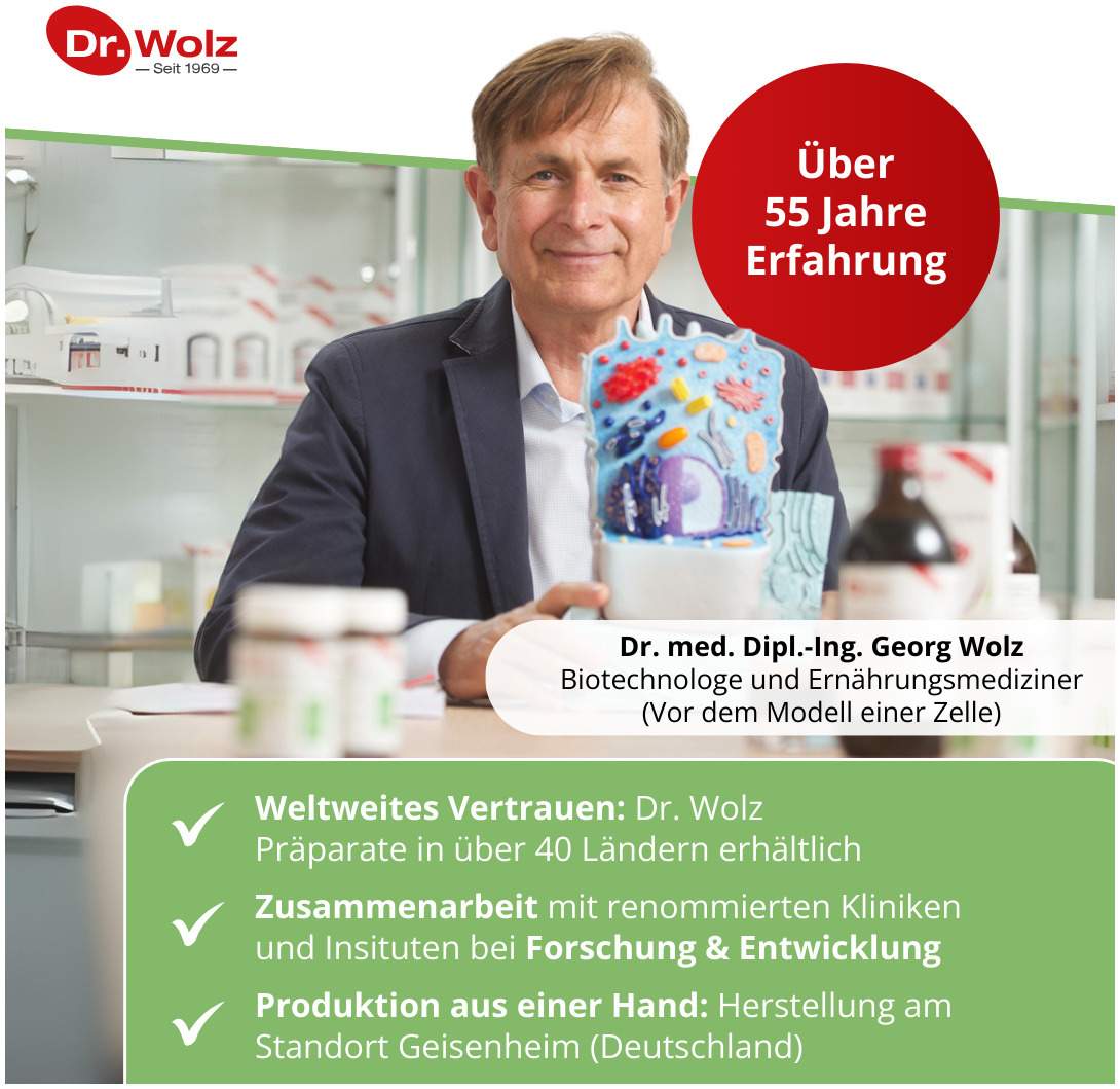 Grüntee Extrakt Dr.Wolz 120 Kapseln