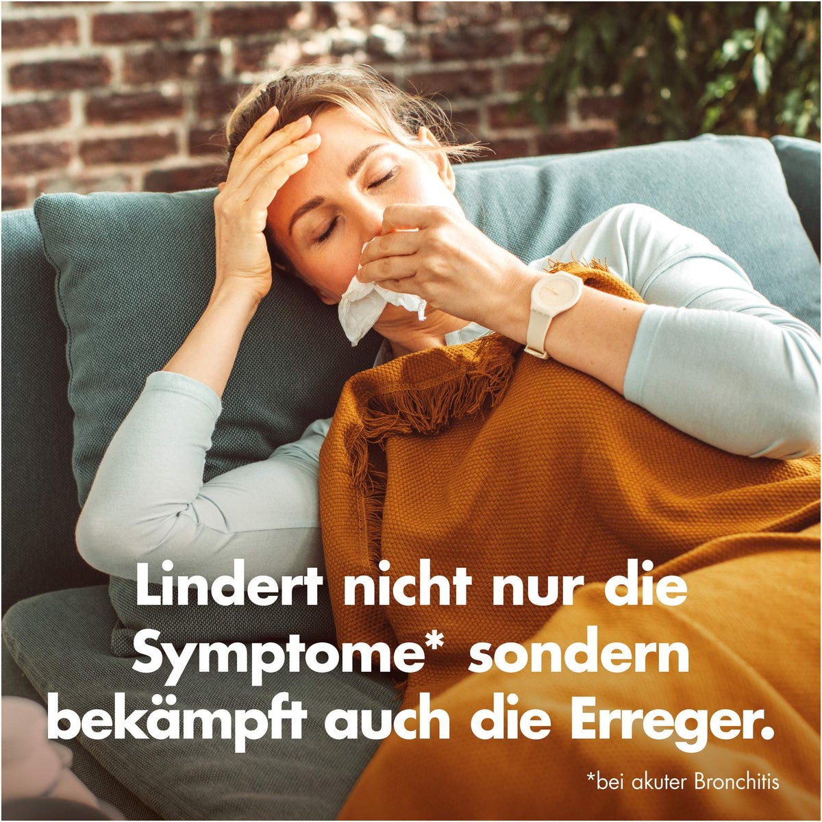 Umckaloabo Tropfen 50 ml