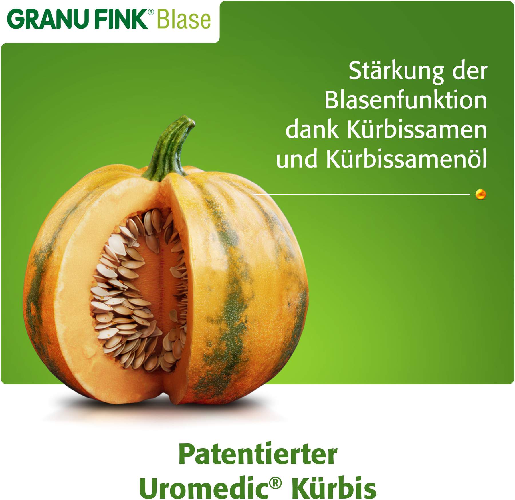 Granu Fink Blase 100 Hartkapseln