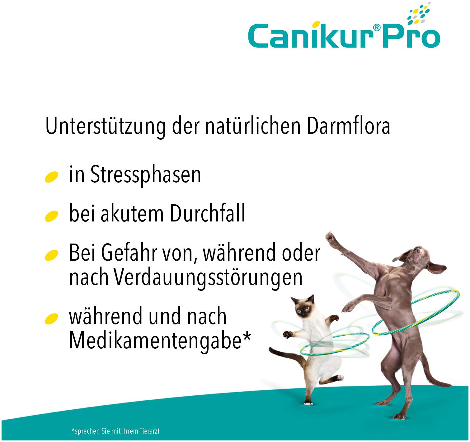 Canikur Pro vet. 60 ml Paste
