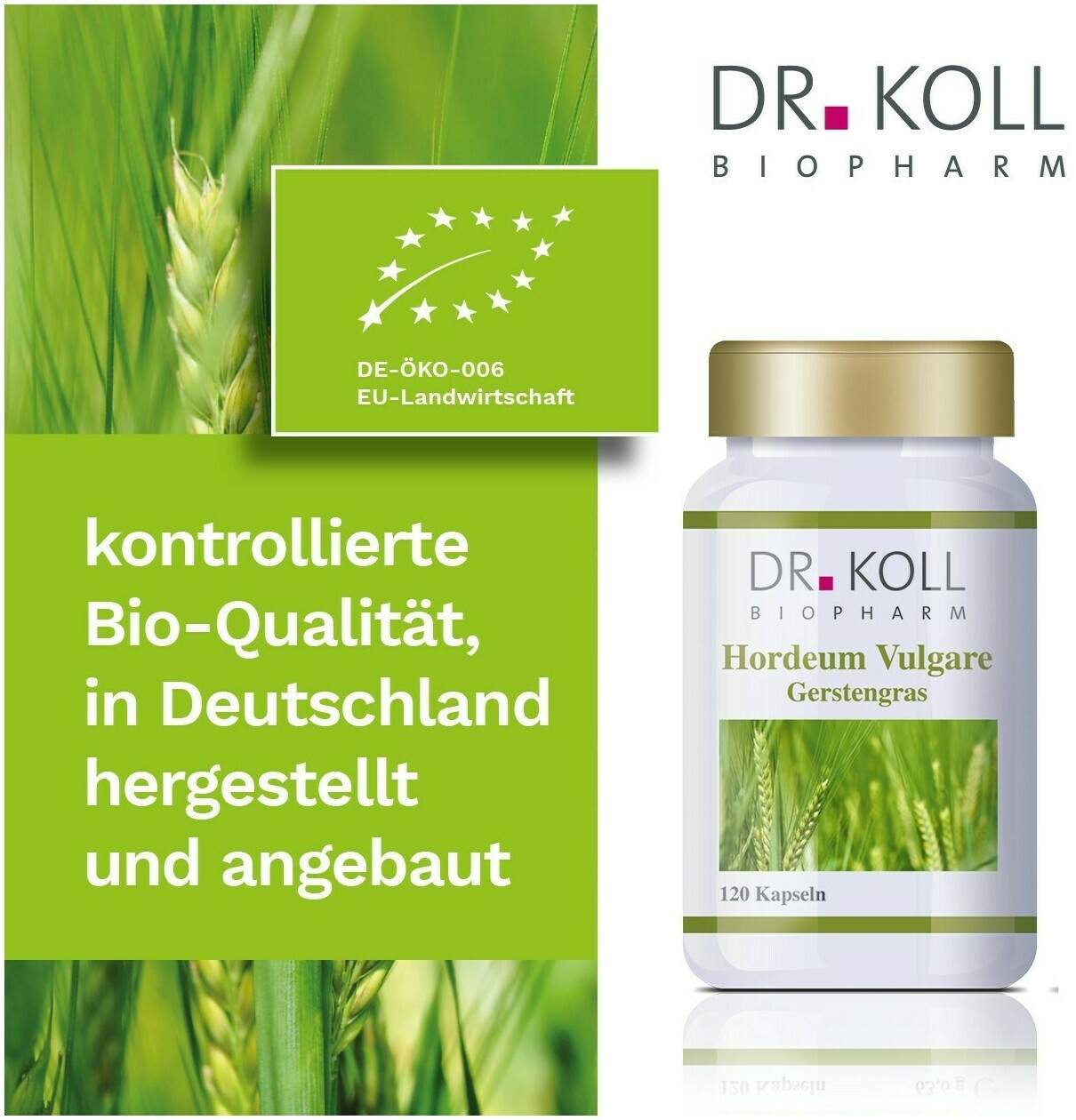 Gerstengras Hordeum Vulgare 120 Kapseln