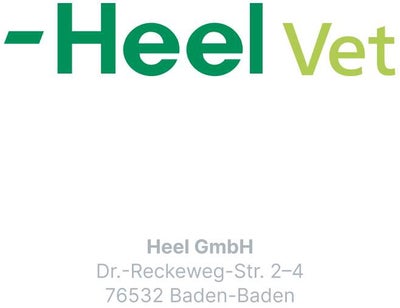 Traumeel T Vet. 100 Tabletten