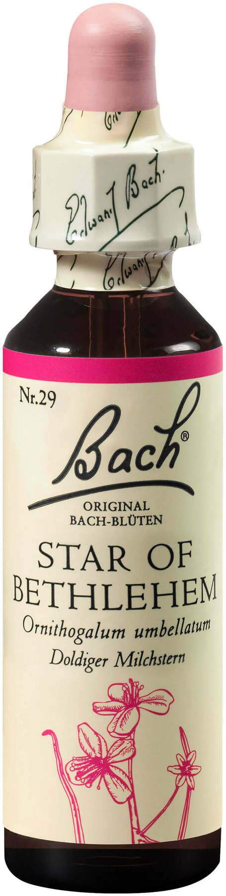 Bachblüten Star Of Bethlehem 20 ml Tropfen