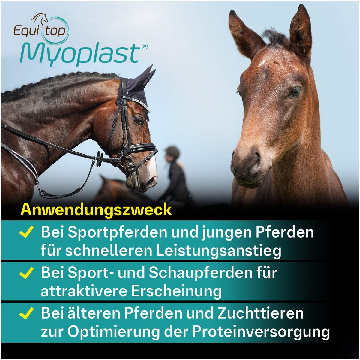 Equitop Myoplast 1,5 kg Granulat