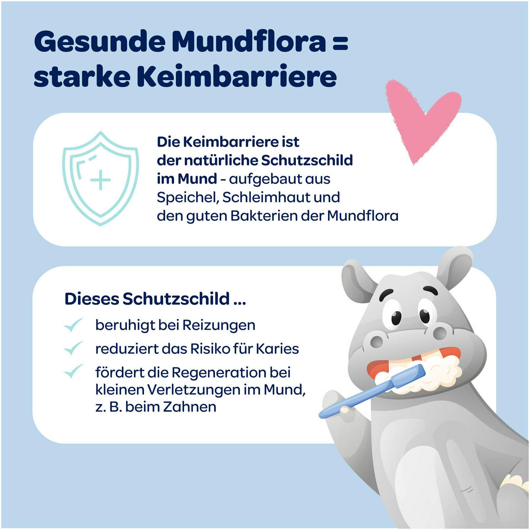 Dentinox Zahncreme Mundflora + Baby 30 ml