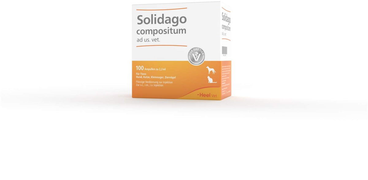 Solidago Compositum 100 Ampullen vet.