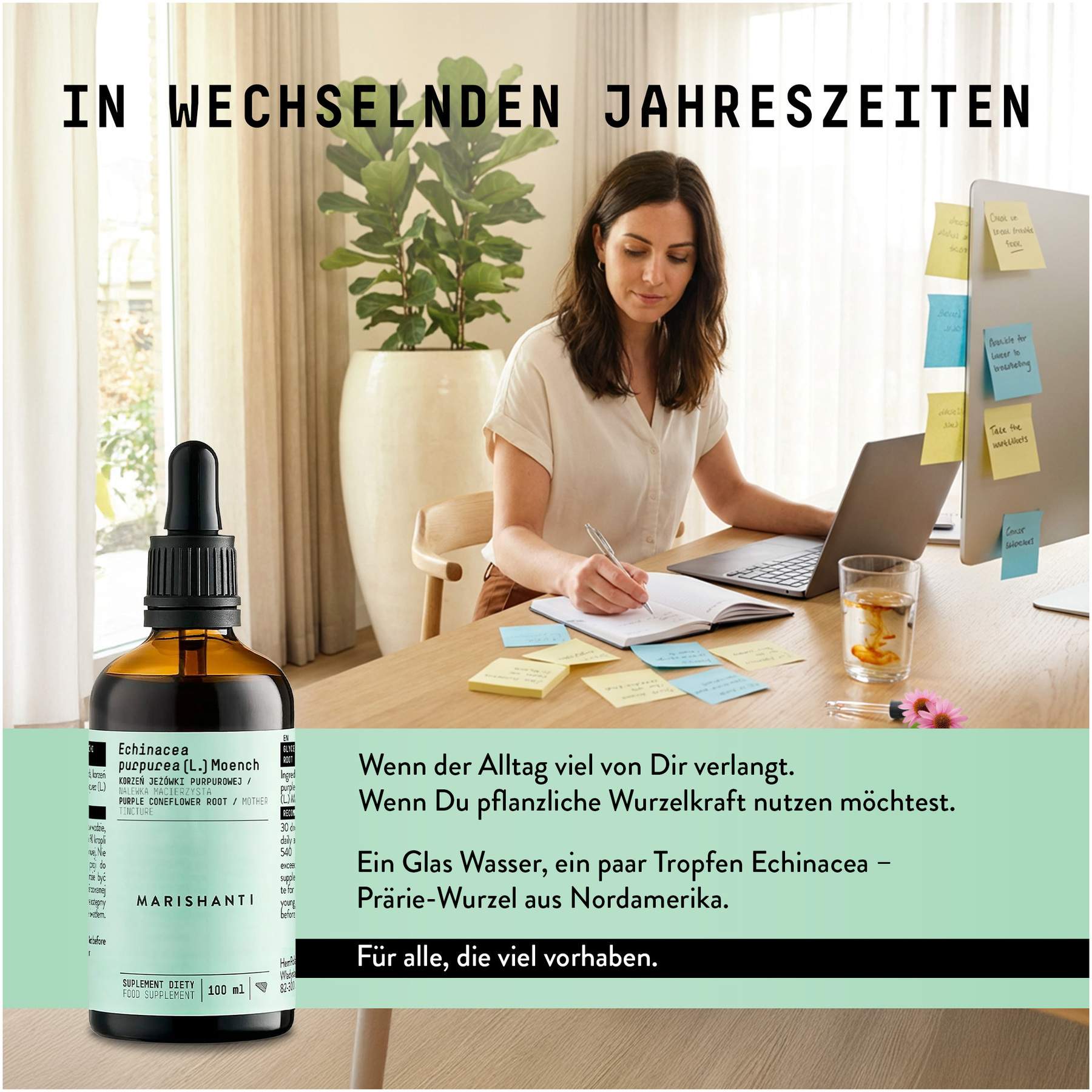 Echinacea Wurzel Extrakt Tropfen alkoholfrei 100 ml