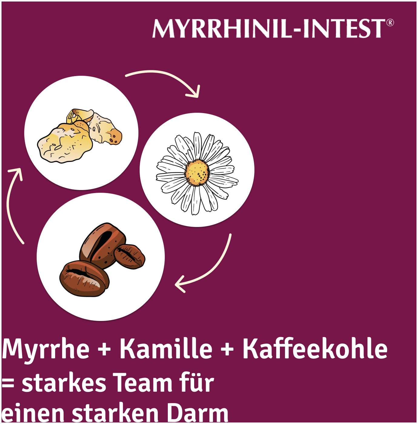 Myrrhinil Intest 500 Dragees