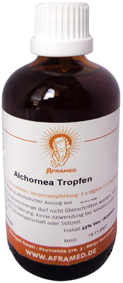 Alchornea Tropfen 100 ml