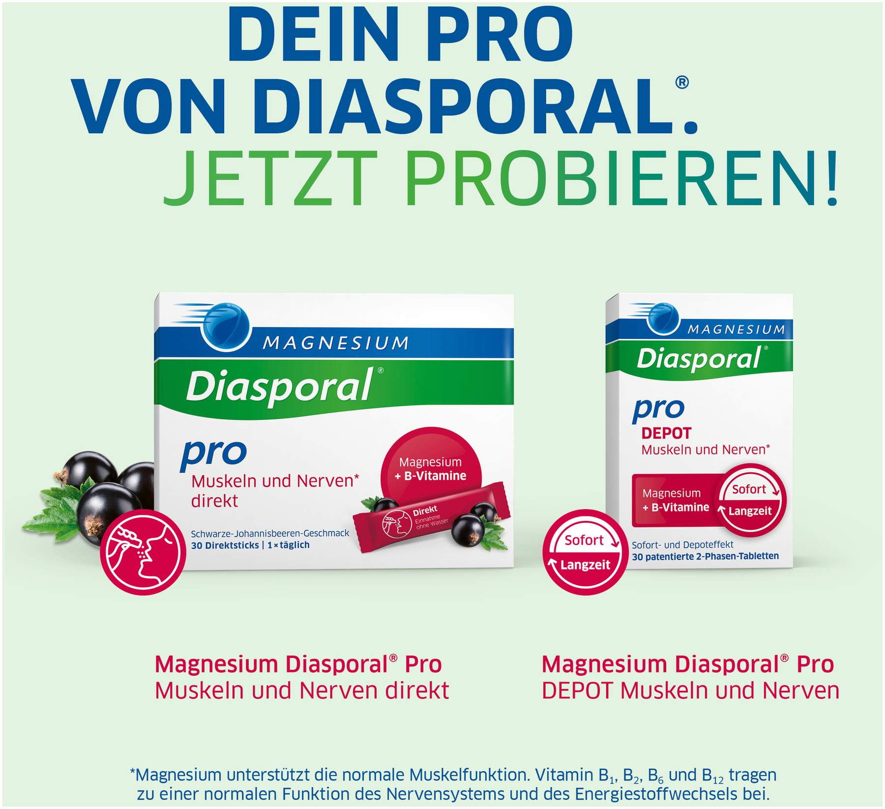 Magnesium Diasporal Pro DEPOT Muskeln und Nerven Tabletten 30 Stück