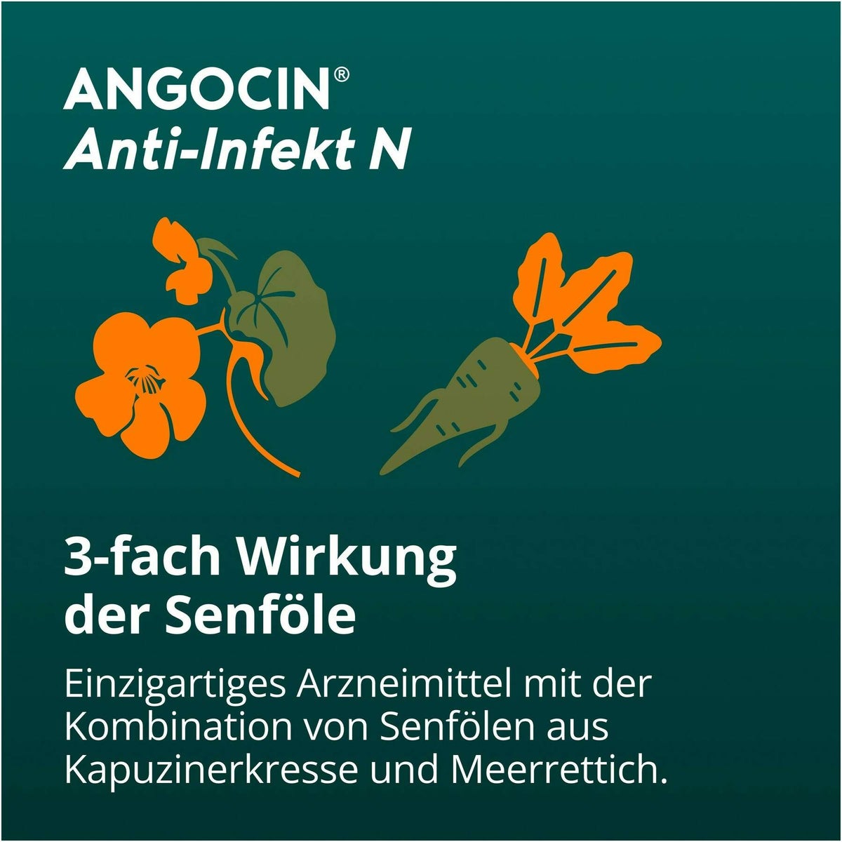 Angocin Anti-Infekt N 240 Filmtabletten