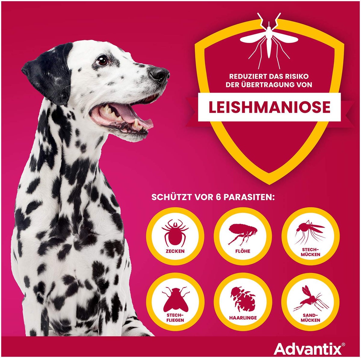 Advantix Spot-On Hund 40-60 kg 4 x 6 ml Lösung