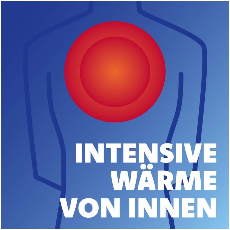 Finalgon Wärmesalbe Duo 4 mg je g + 25 mg je g 20 g Salbe