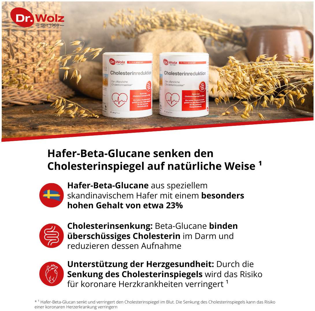 Cholesterinreduktion Dr.Wolz 224 G  Pulver