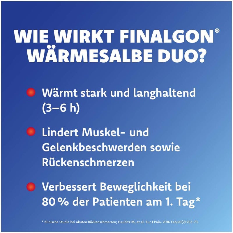 Finalgon Wärmesalbe Duo 4 mg je g + 25 mg je g 20 g Salbe