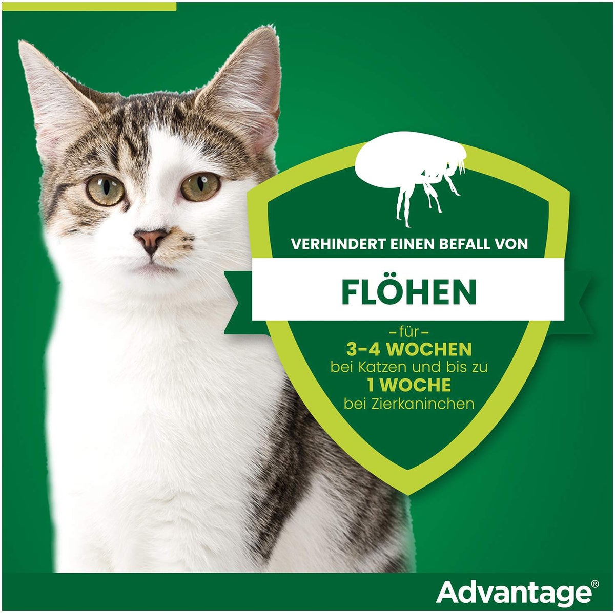 Advantage 80 mg für Katzen und Zierkaninchen über 4 kg 4 x 0,8 ml Lösung