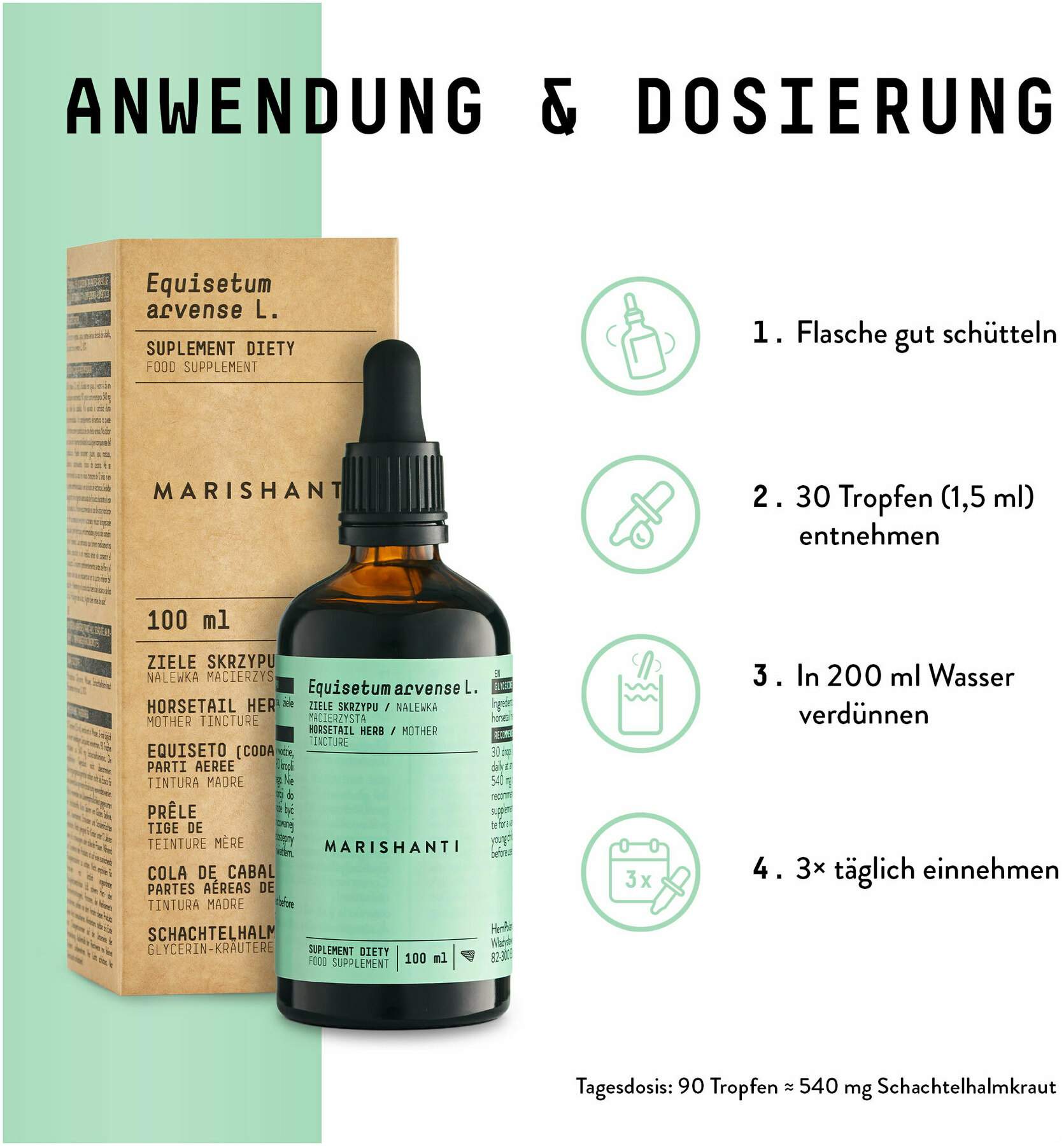 Schachtelhalm Extrakt Kräuter Tropfen alkoholfrei 100 ml