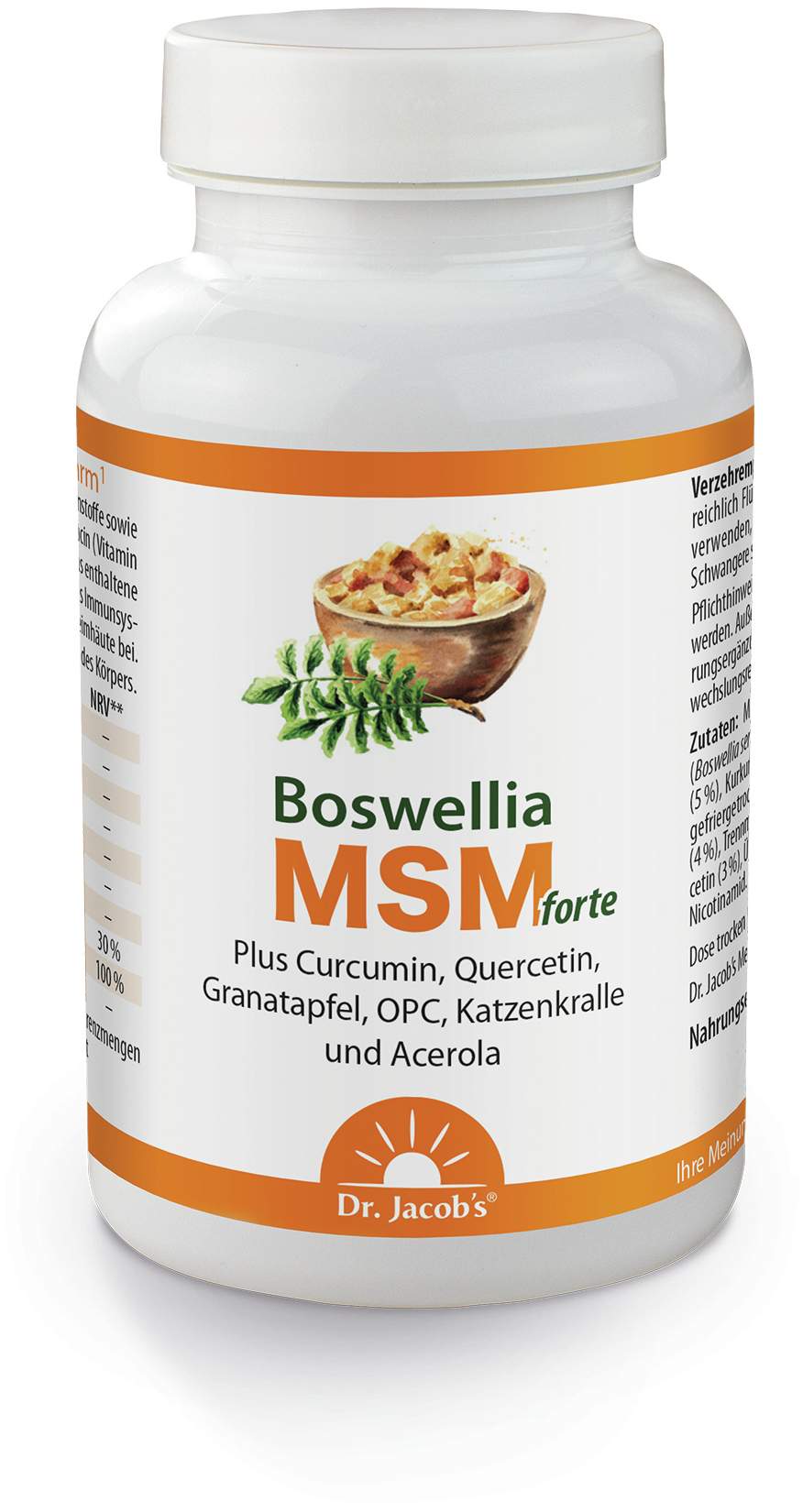 Boswellia Msm Forte Dr.Jacob s 90 Tabletten