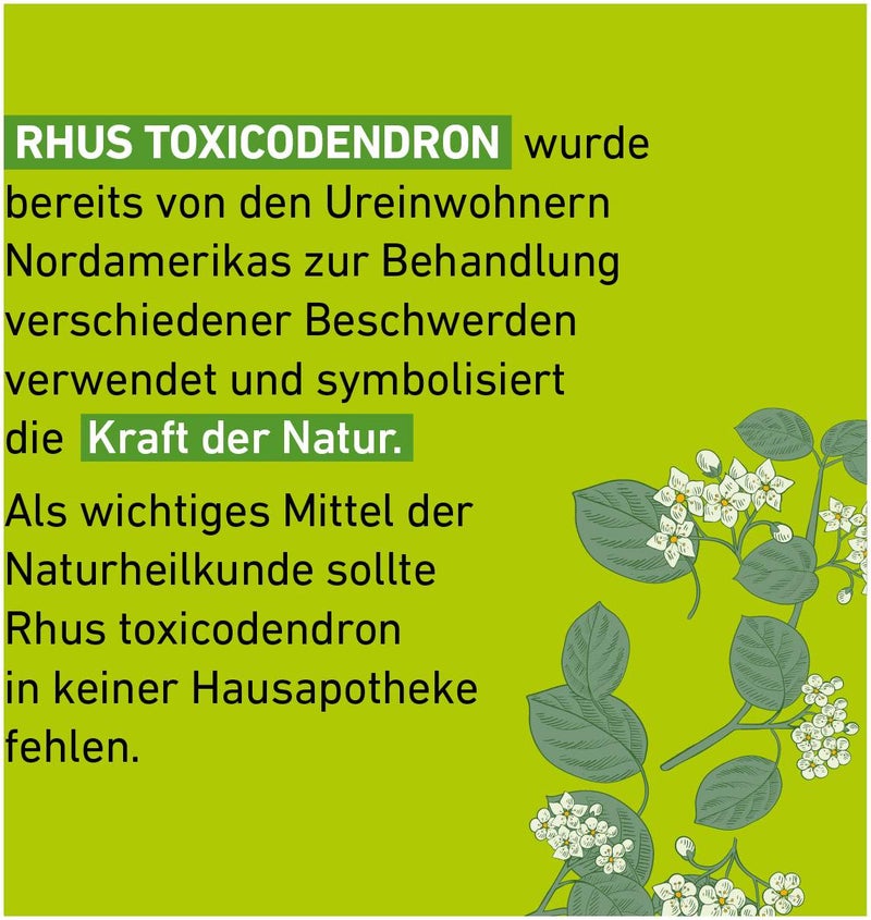 Rhus Toxicodendron C 30 Globuli Pflüger Globulispender 10 g