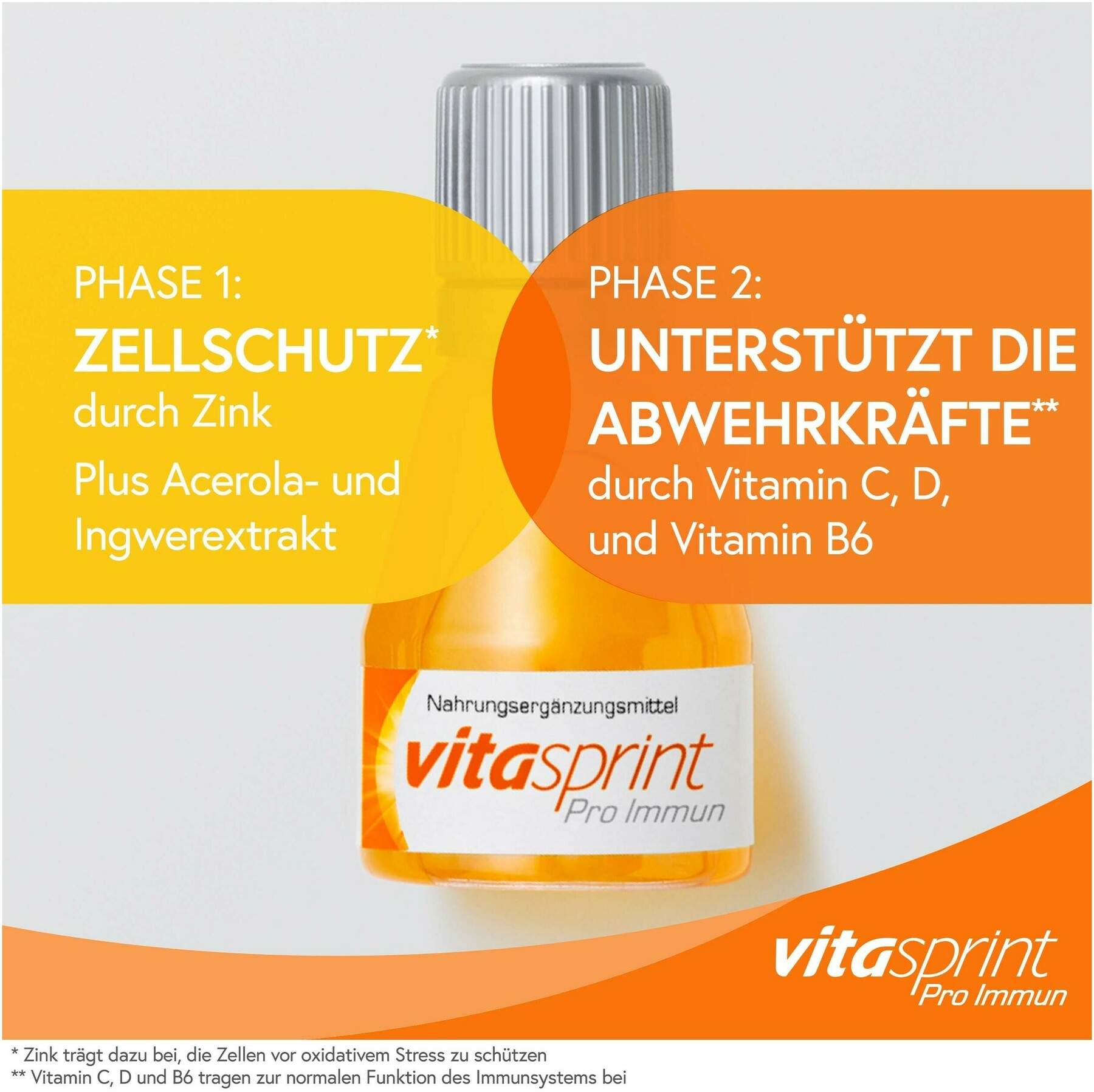 Vitasprint Pro Immun 24 Fläschchen