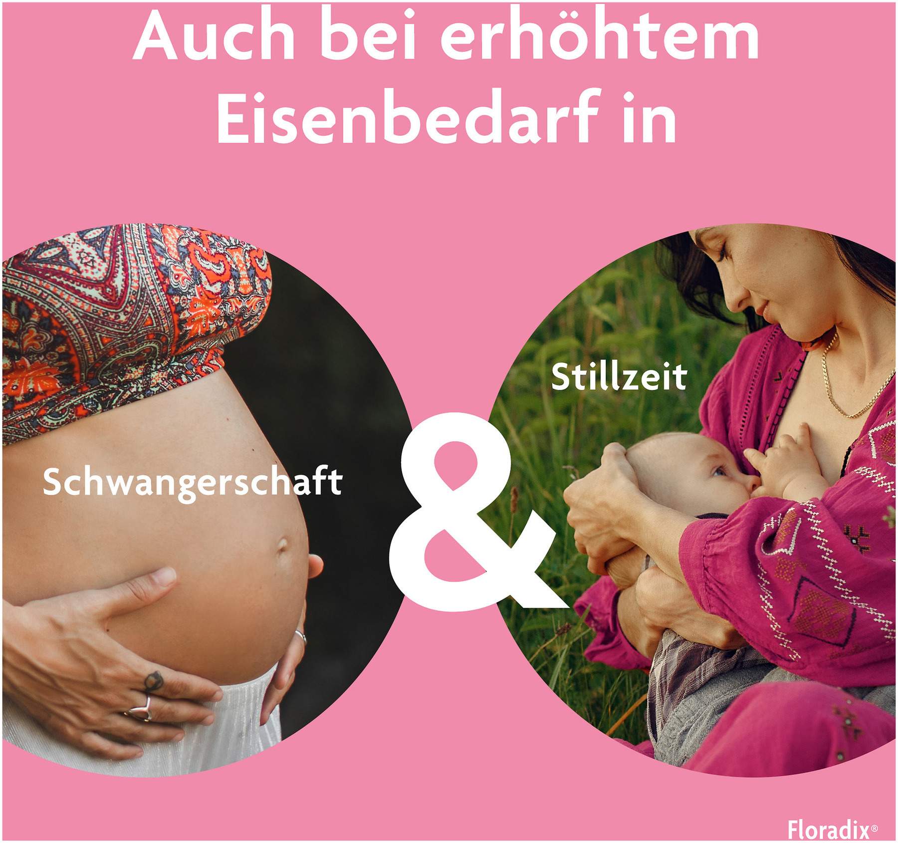 Floradix Eisen Folsäure Tabletten 84 Stück