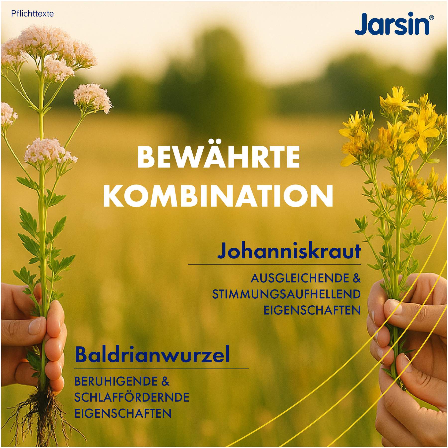 Jarsin Balance 30 Stück