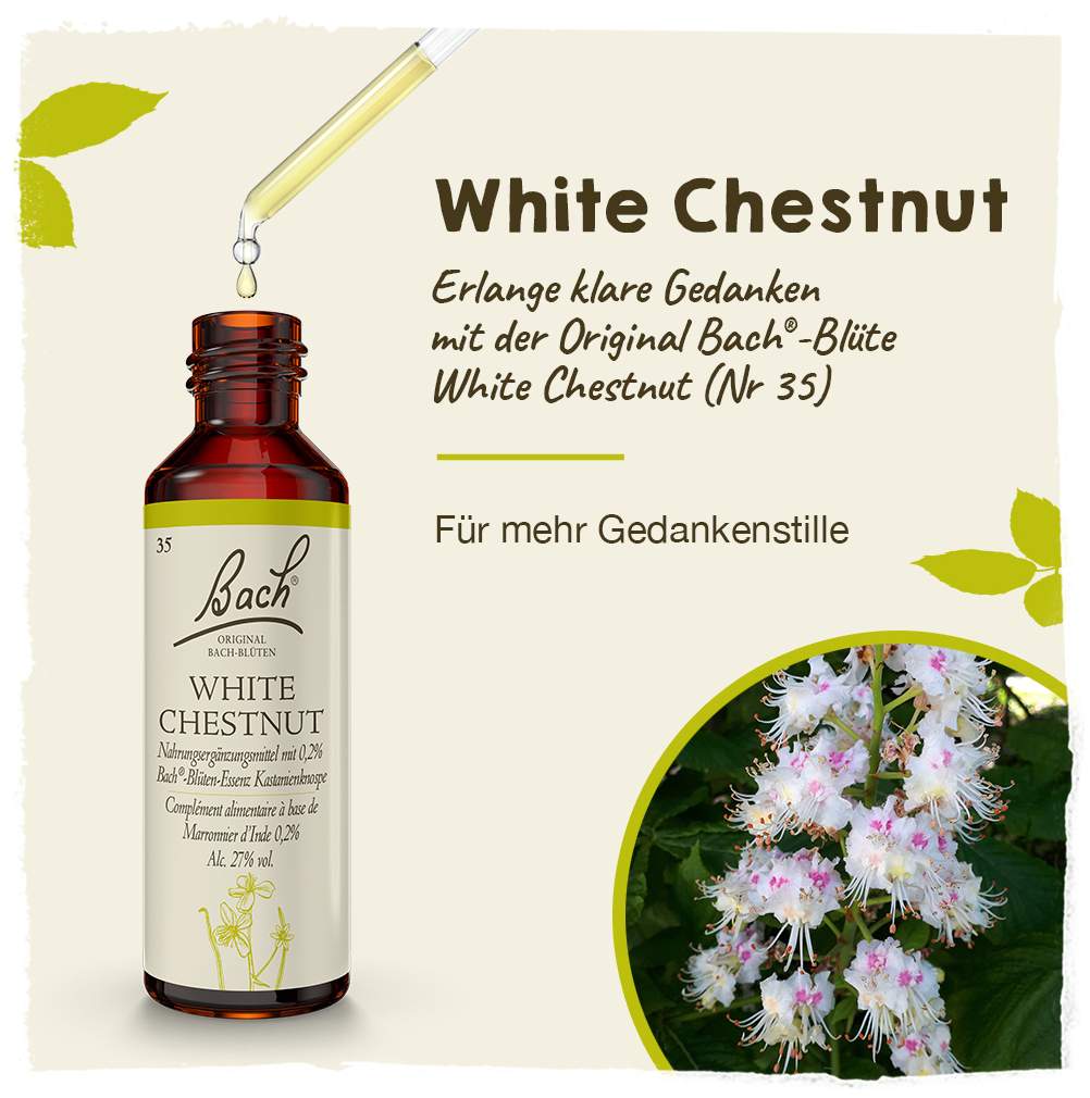 Bachblüten White Chestnut 20ml Tropfen