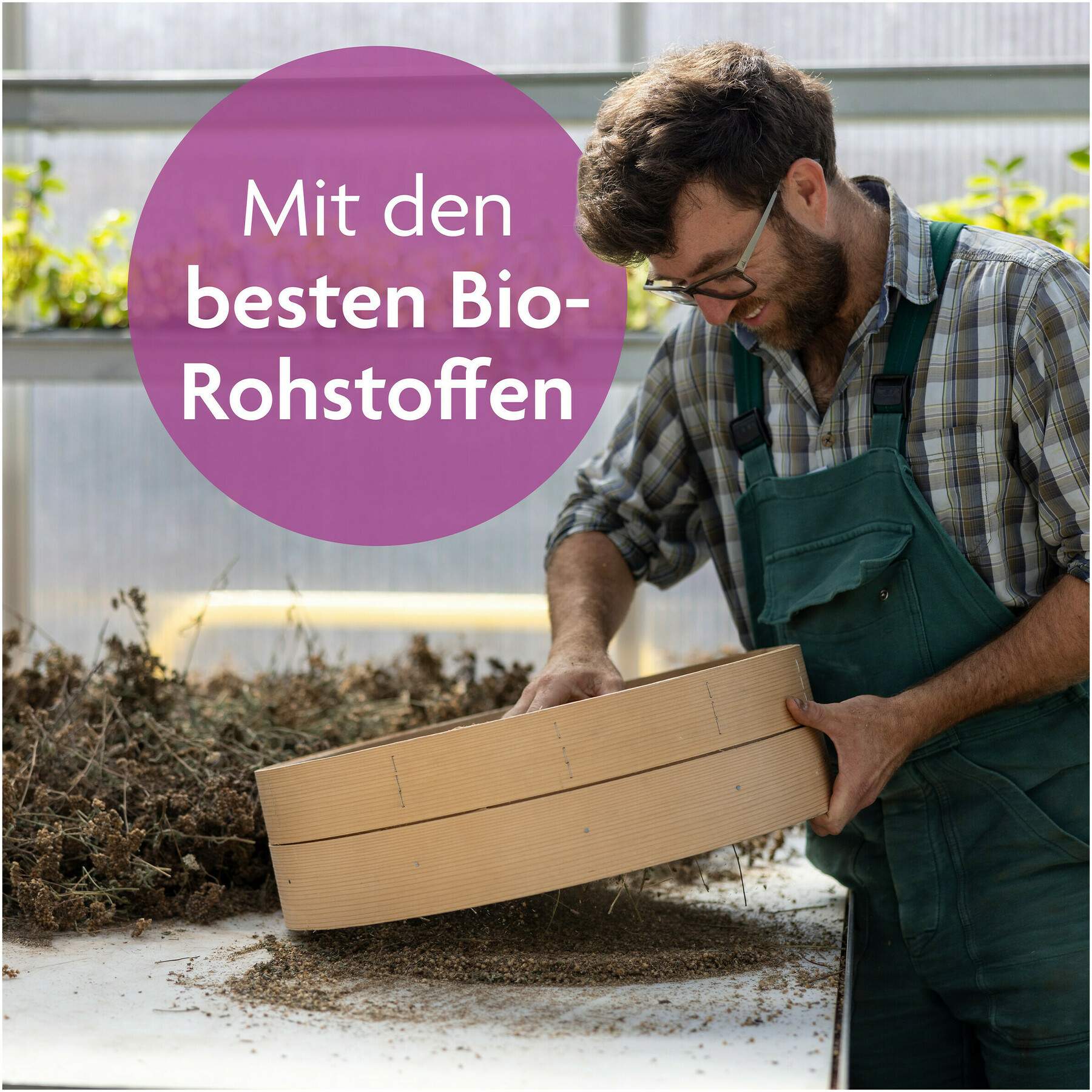 Salus Fastentee Bio Filterbeutel