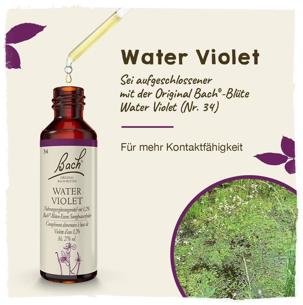 Bachblüten Water Violet 20 ml Tropfen