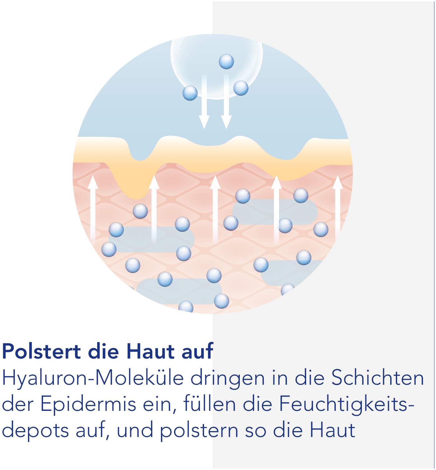 Viscontour Nachtcreme Mit Hyaluron 50 ml