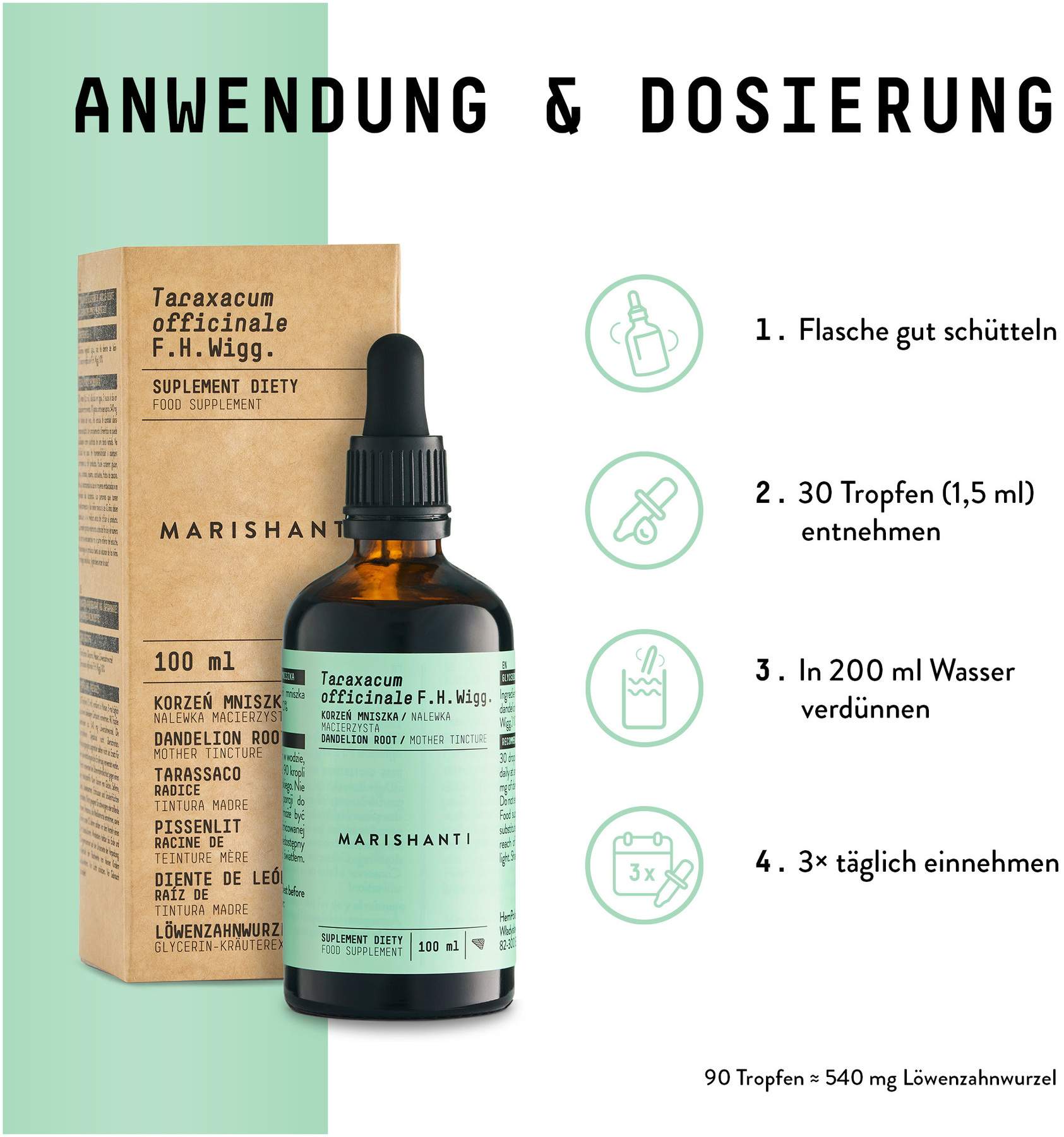 Löwenzahnwurzel Extrakt Kräuter Tropfen alkoholfrei 100 ml