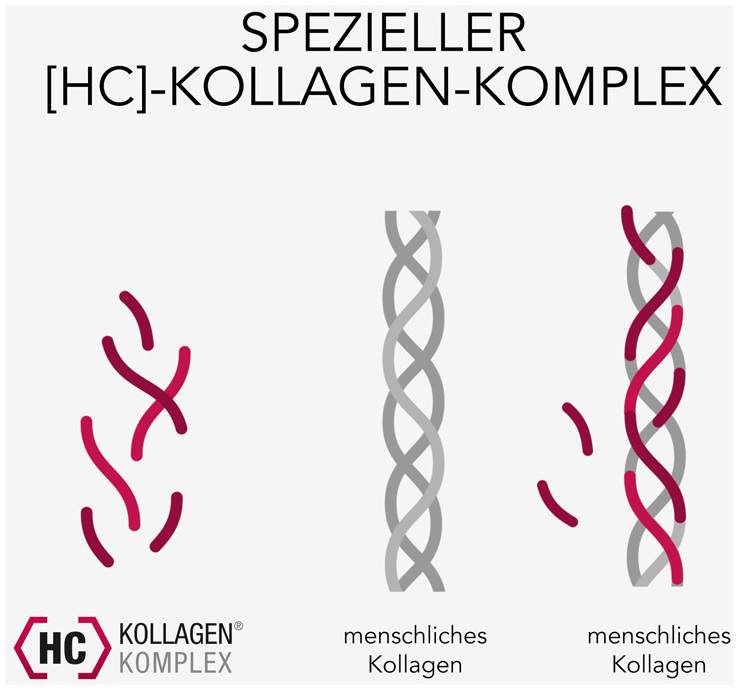 Elasten Trinkampullen 7 Stück
