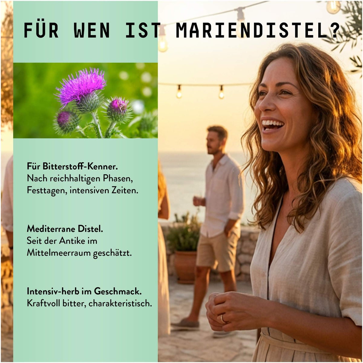 Mariendistel Früchte Extrakt Tropfen alkoholfrei 100 ml