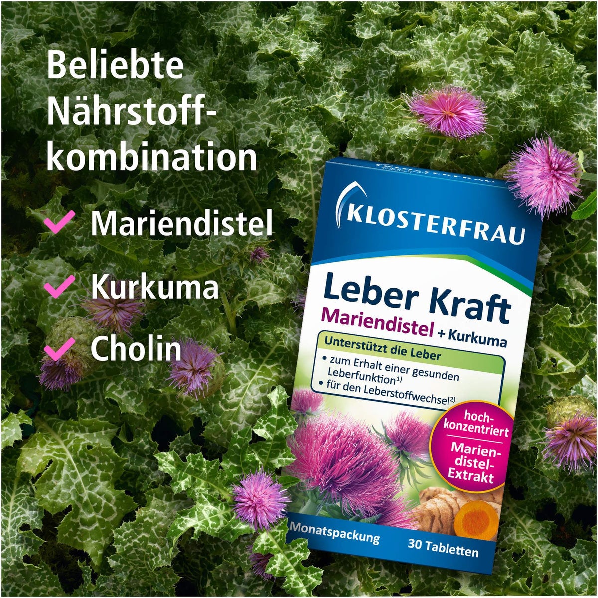Klosterfrau Leber Kraft Tabletten 30 Stück
