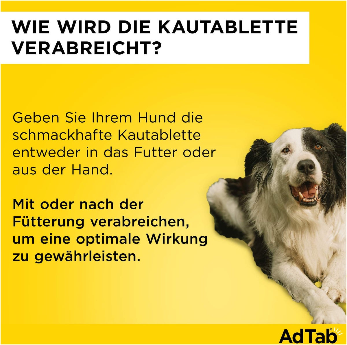 AdTab 900 mg für sehr große Hunde (22-45 kg) 3 Kautabletten