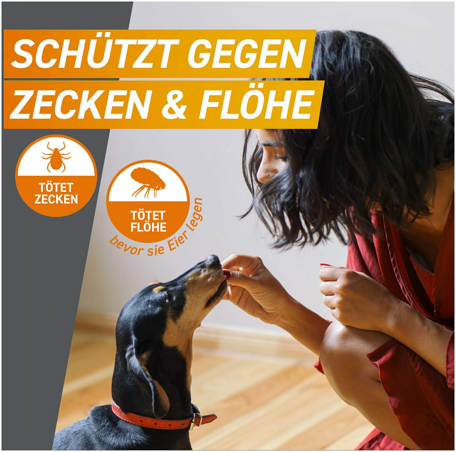 Frontpro 68 mg für Hunde 10-25 kg 3 Kautabletten