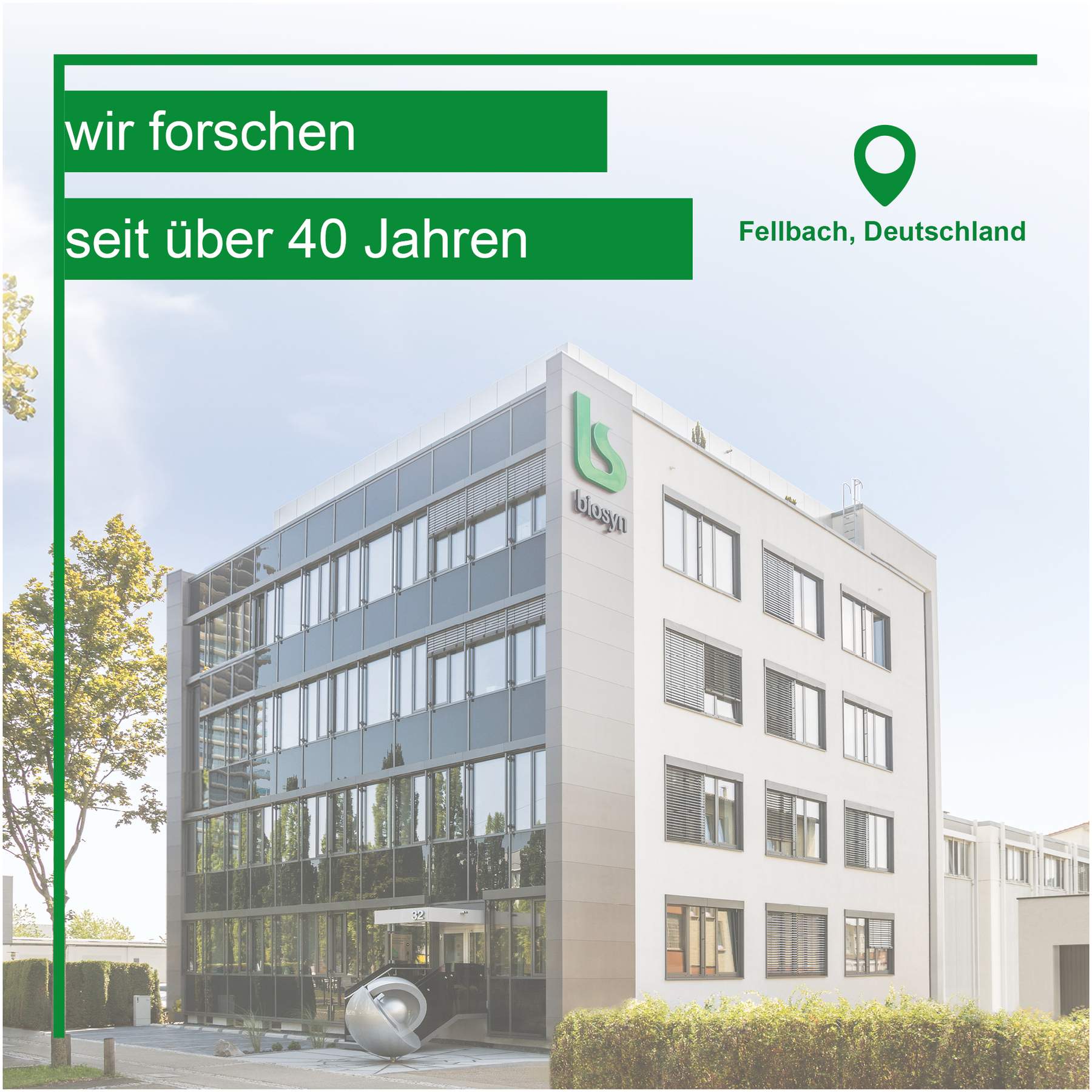 Folsäure Biosyn Tabletten 50 Stück