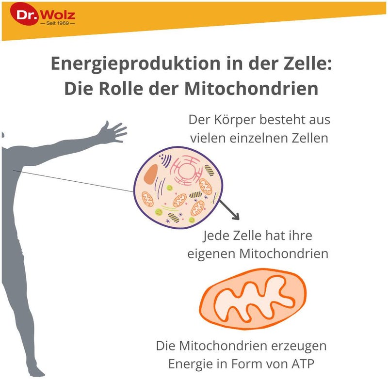 Zell Oxygen Plus 250 ml Flüssigkeit
