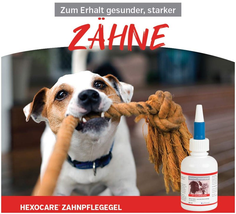 Hexocare Zahnpflegegel für Kleintiere 50 ml
