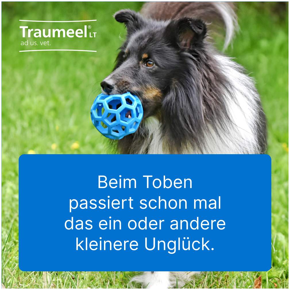Traumeel Lt Ad Us.Vet.Tabletten 500 Stück